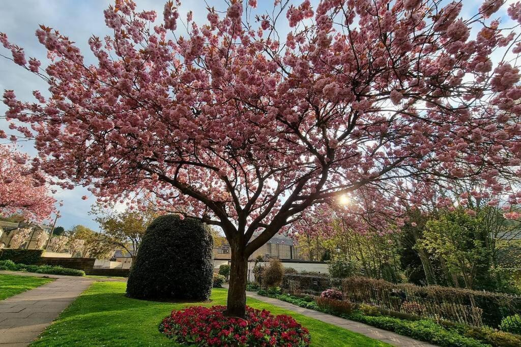 Crystal Cottage - 5 Min Walk From Holmfirth Town Centre Екстериор снимка